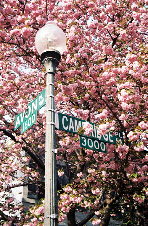 Cambridge and Avon Cambridge and Avon