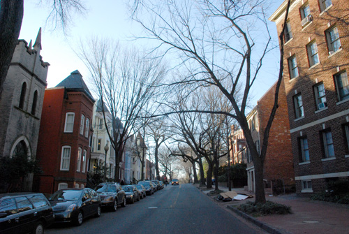 Cathedral Canopy Cathedral Canopy