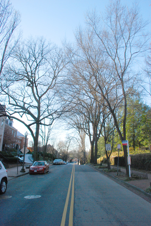 Q St. - Georgetown's "Elm Street"