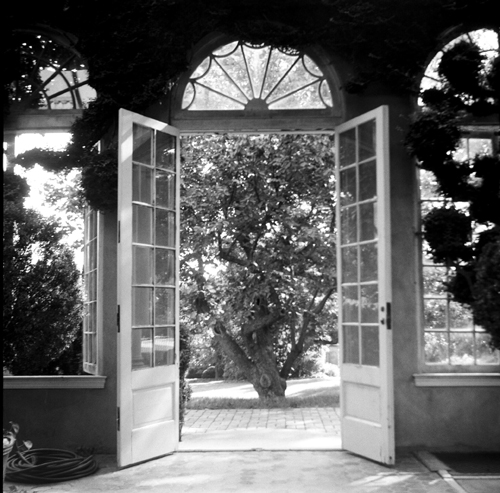 Orangery The Orangery at Dumbarton Oaks