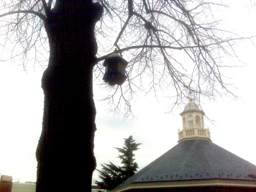 Make a Little Birdhouse in Your 30th St. Make a Little Birdhouse in Your 31st St.