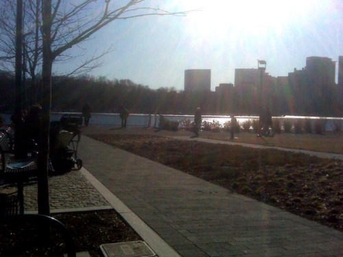 Sun rippling off the Potomac