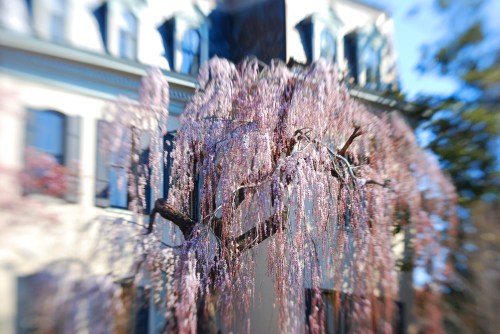 1500 Block of 31st St.