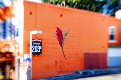 1500 Block of Wisconsin Ave.