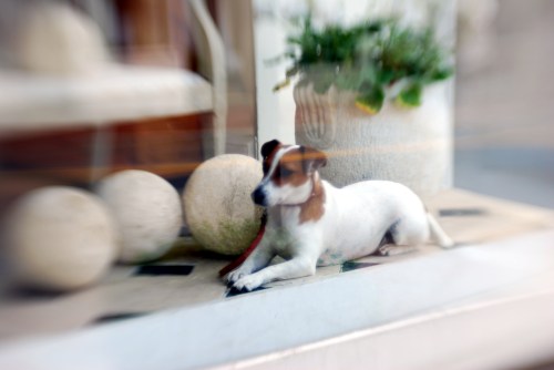 1600 block of Wisconsin Ave.