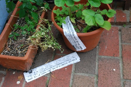 1300 Block of 27th St.