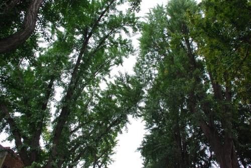 1600 block of Avon Pl.