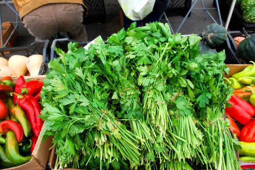 1700 block of Wisconsin Ave.