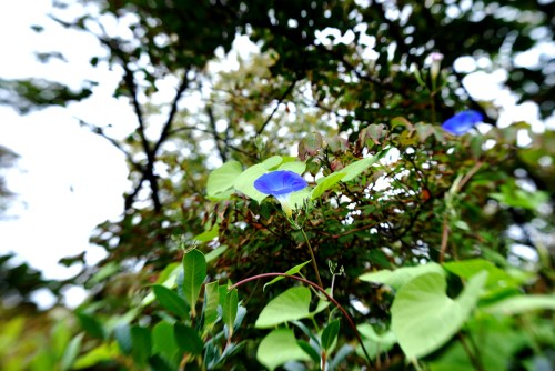 3000 block of Avon La.