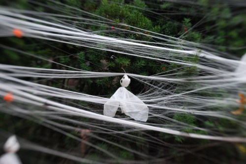 1600 block of 31st St.