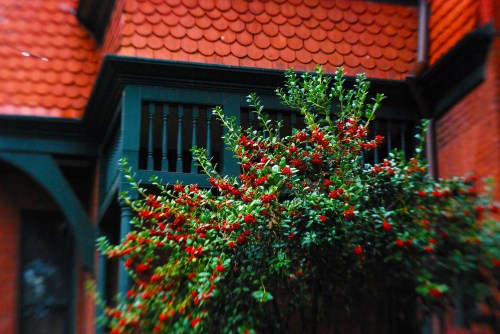 1500 block of 31st St.