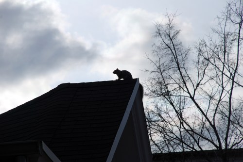 1300 block of 31st St.