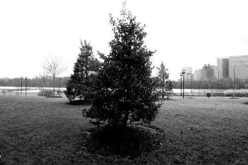 3300 block of Water St.