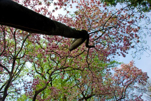 1600 block of 31st St.