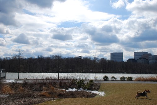 Georgetown Waterfront