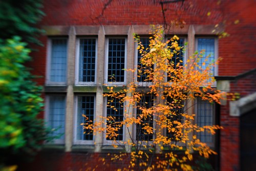 1300 block of 31st St.