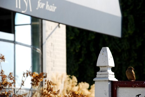 1600 block of Wisconsin Ave.