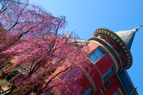 3100 block of Dumbarton Ave.