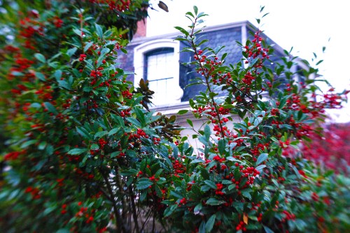 1600 block of 29th St.