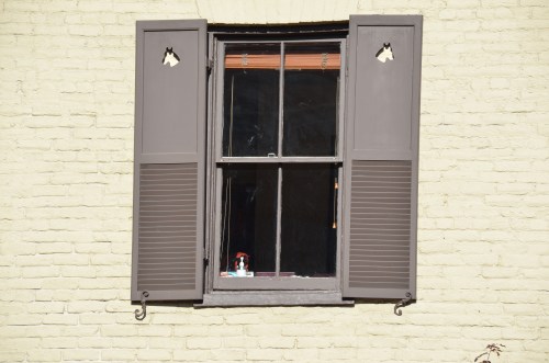 C & O Canal Tow Path