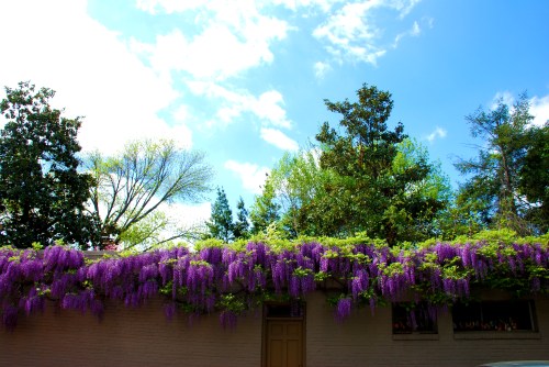 1500 block of 32nd St.