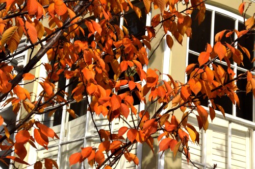 1300 block of 33rd St.