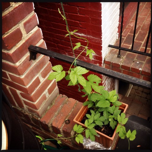 1500 block of 33rd St.