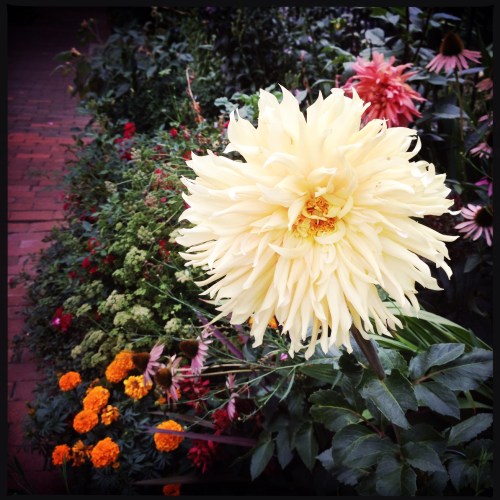 3200 block of Volta Pl.