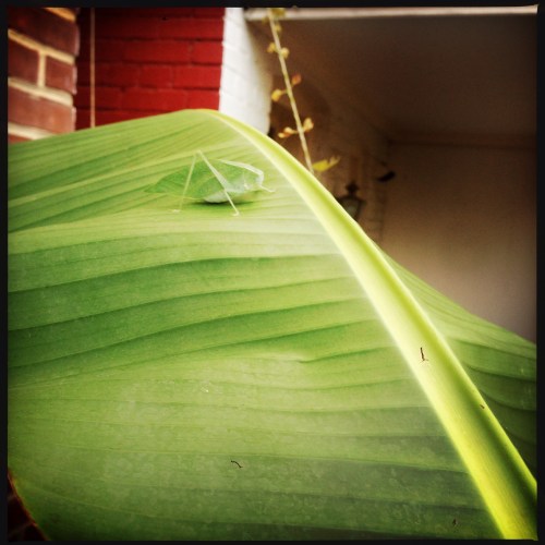 1500 block of 33rd St.