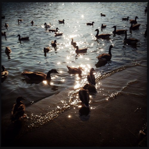 Georgetown Waterfront