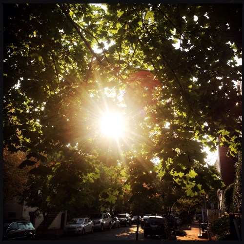 3100 block of Dumbarton St.