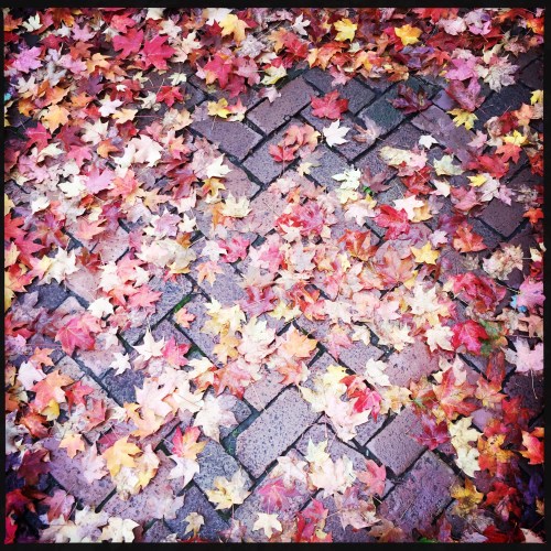 3100 block of Dumbarton St.