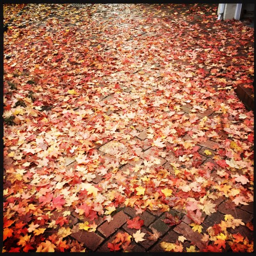 3100 block of Dumbarton St.