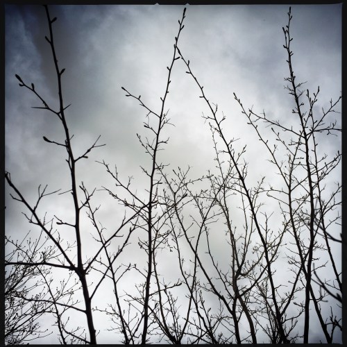 1500 block of 33rd St.