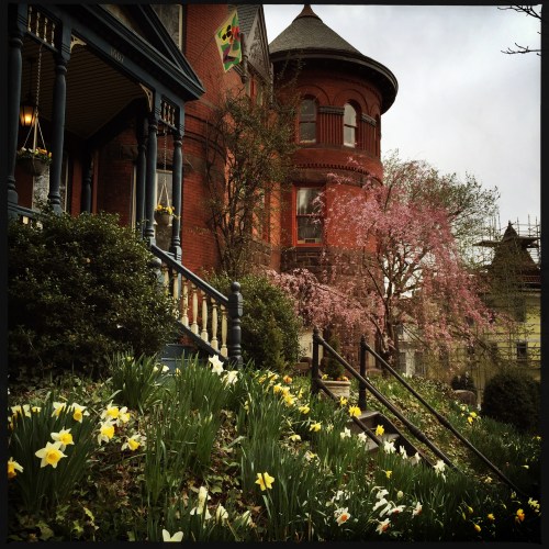 1600 block of 31st St.