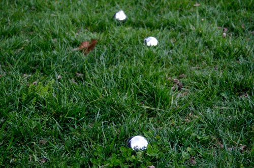 Georgetown Waterfront Park