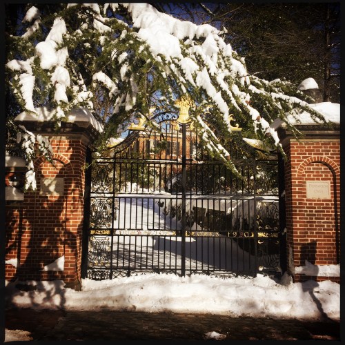 OriginalPhoto-475345520.950241