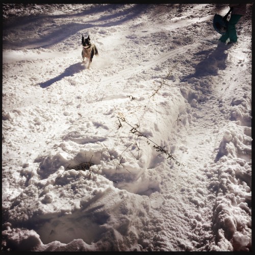 OriginalPhoto-475350540.025197