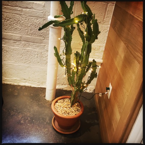 3200 block of Grace St.