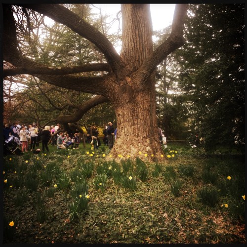 1600 block of 31st St.