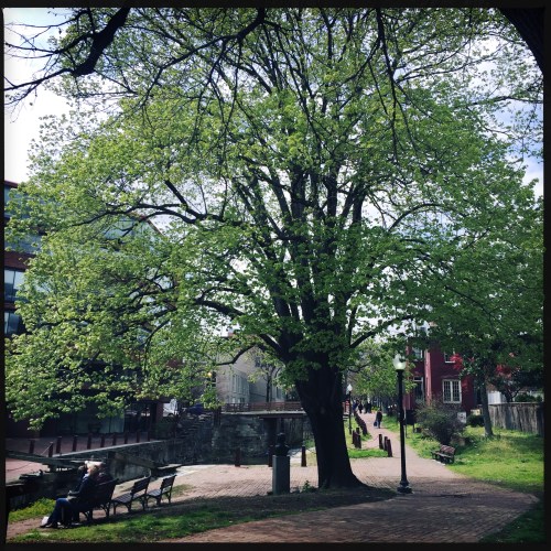 OriginalPhoto-481917932.676745