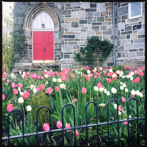 OriginalPhoto-481932344.741878