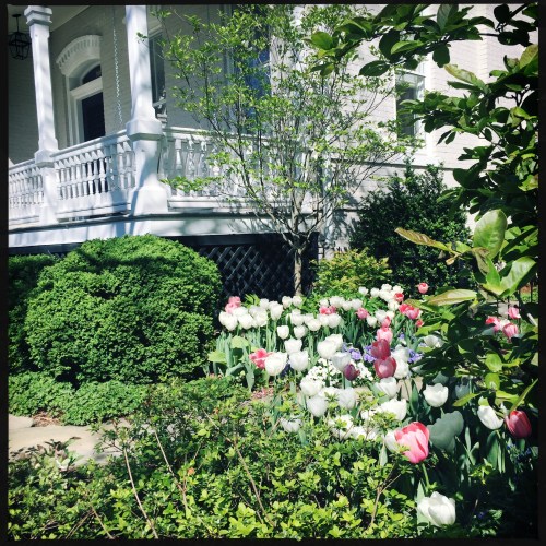 OriginalPhoto-482615434.393486