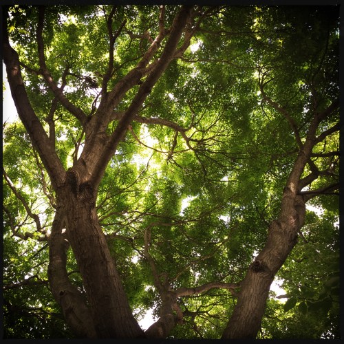 2700 block of Dumbarton