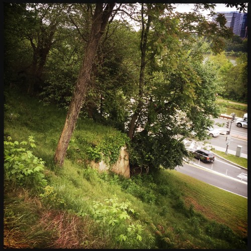 OriginalPhoto-485299514.088010