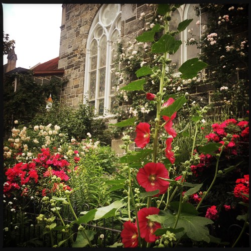 3200 block of Volta Pl.