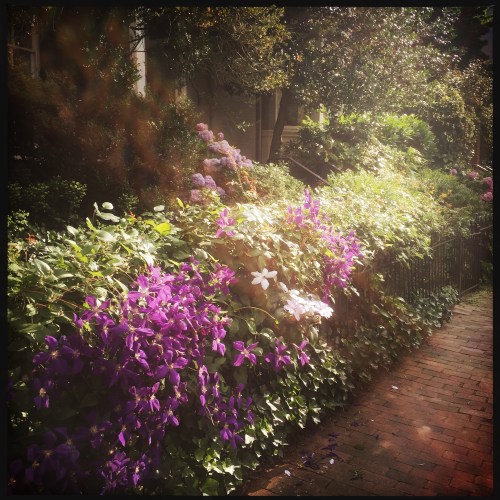 3000 block of Dumbarton St.