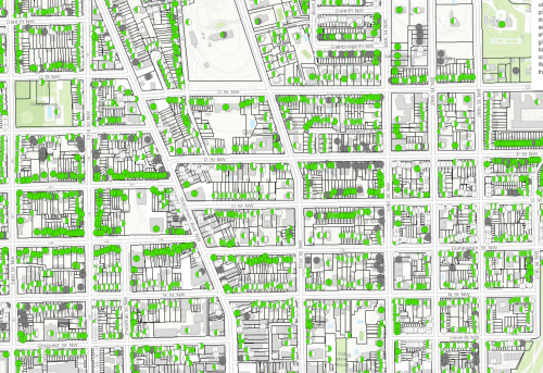 DC WAter Lead Pipe Map