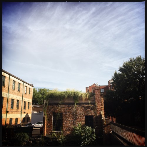 OriginalPhoto-490313053.479491