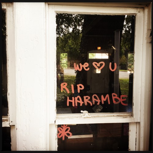 Georgetown Visitation